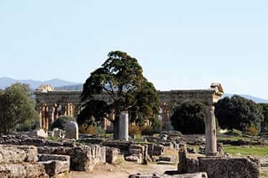 1-Paestum