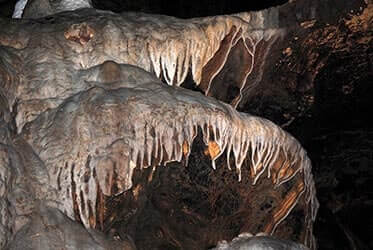 Grotte-Castelcivita-particolari